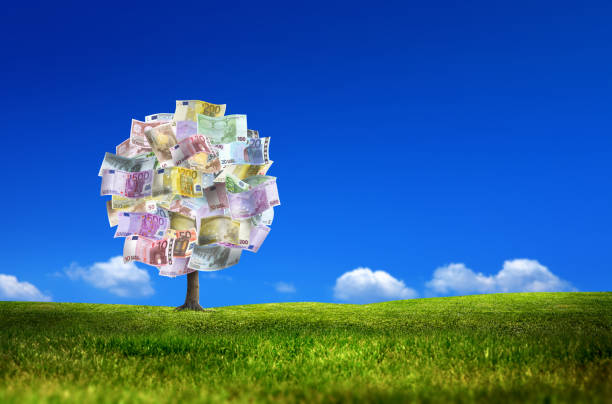 money tree of european union euro bills on sunny and green landscape - wealth paper currency incentive money doesnt grow on trees imagens e fotografias de stock