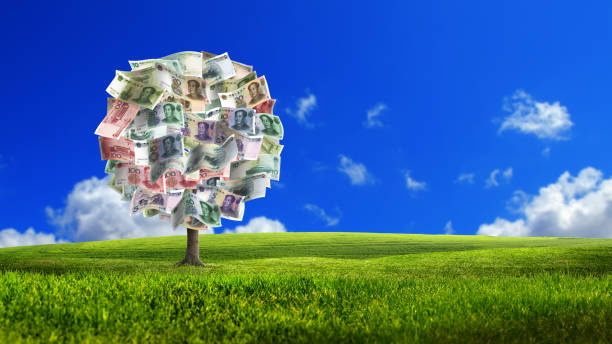 money tree of chinese yuan bills on sunny and green landscape - wealth paper currency incentive money doesnt grow on trees imagens e fotografias de stock