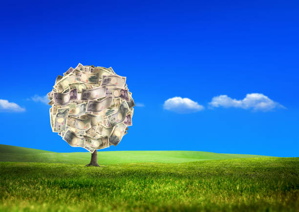 money tree of japanese yen bills on sunny and green landscape - wealth paper currency incentive money doesnt grow on trees imagens e fotografias de stock