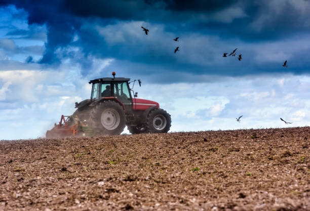 Farmer ploughing his fields to the delight of seagulls