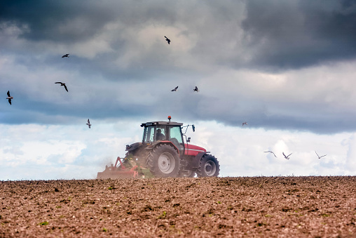 Farmer at work in the fields with a disc plough in autumn