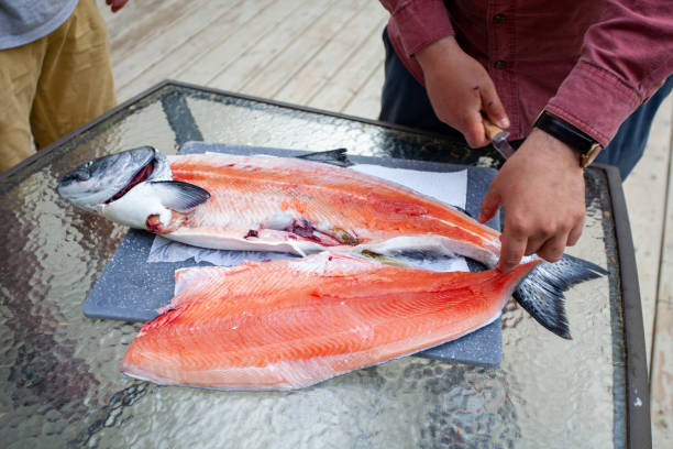 A King Salmon (Chinook) is being fillet stock photo