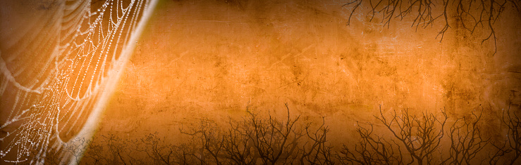 A spider web and a silhouette of bare trees in front of an orange grunge background.