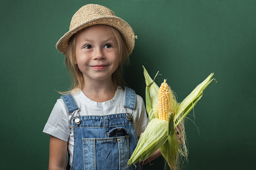 Cute caucasian little girl smiling while holding ear of corn on the dark green background. Happy toddler girl wearing straw hat and denim overalls. Happy National Corn on the Cob Day