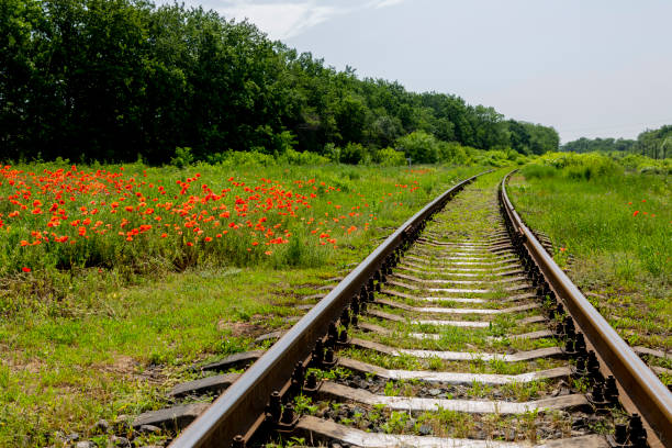 istock Summer landscape with a railway and red poppies 1412714876