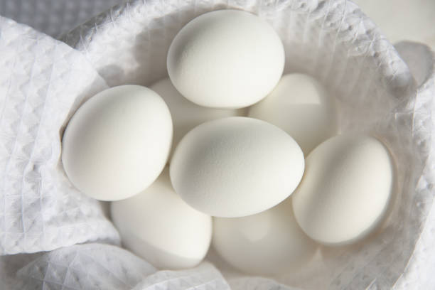 Caucasian adult is showing white egg to camera.
