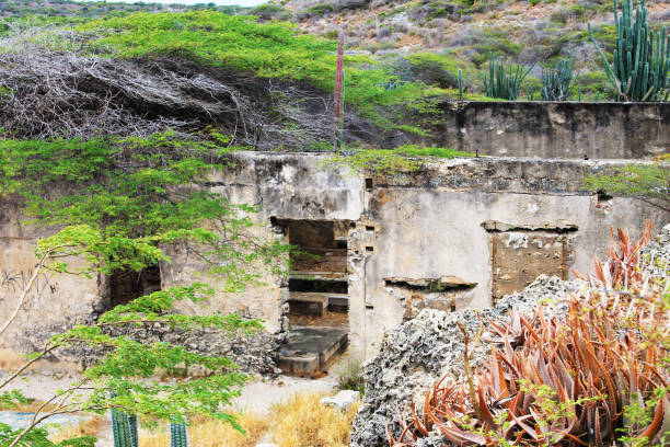 istock Balashi Gold Mill Ruins 1412722365