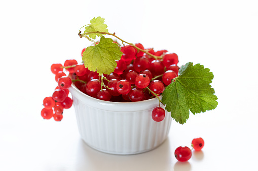 Red currant with leaves in white bowl on white background. Design for product label, catalog print.