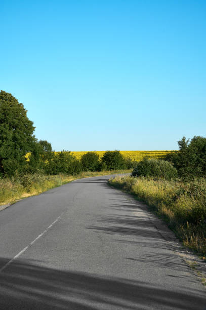 istock Beautiful rural landscape along the road. 1412727255