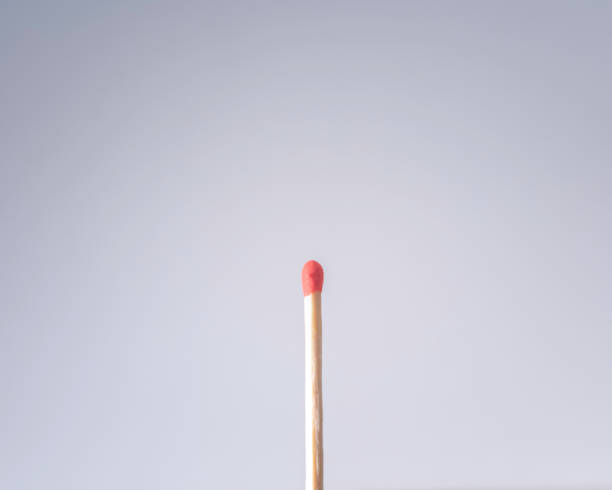 A Single Wooden Match Close up of a single unlit wooden match with a red tip. unlit match stock pictures, royalty-free photos & images