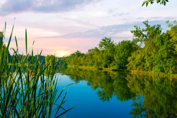 istock Small Pond in early morning-Howard County, Indiana 1412741583