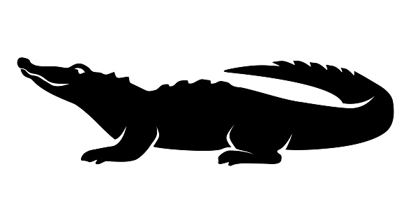 Black silhouette of a crocodile isolated on a white background. Vector illustration