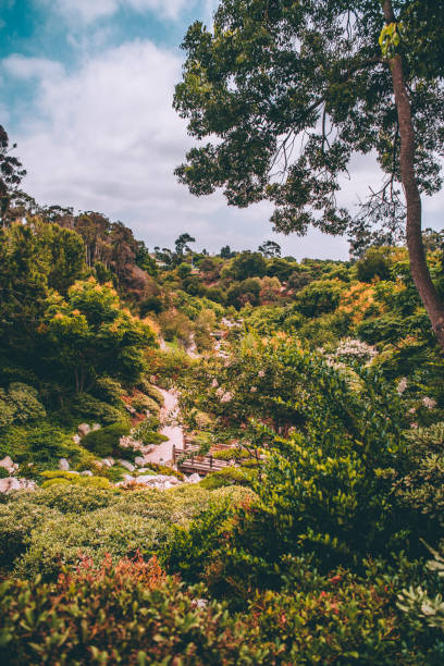 istock Japanese Garden 1412743992