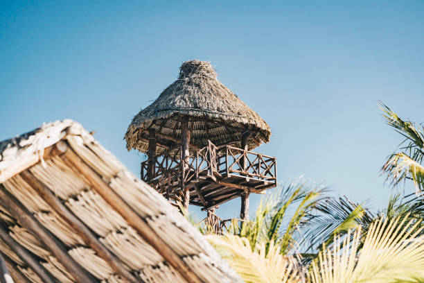 The blue sky with white cloud background and the brown thatched roof is on the top position.