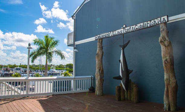 harborwalk w punta gorda na florydzie biegnie wzdłuż rzeki peace w hrabstwie charlotte i łączy pięć parków. spacerując, jeżdżąc, biegając lub tocząc się po utwardzonym szlaku, mijasz kilka parków, dzieł sztuki i znaków opisowych. wiele mur - ports america inc zdjęcia i obrazy z banku zdjęć