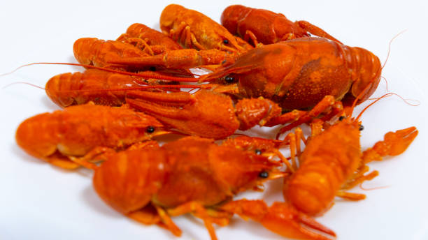istock Group of boiled river red crayfish are laid out on a plate. White background. 1412748914