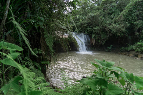 istock Beautiful waterfalls in a peaceful landscape 1412750721