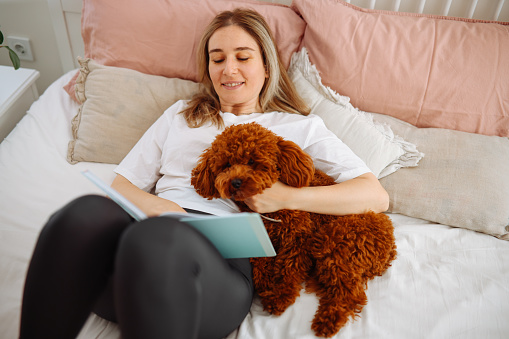 Morning in bed - A young beautiful woman enjoys a non-working day and plays with her dog in bed. Bed sheets.