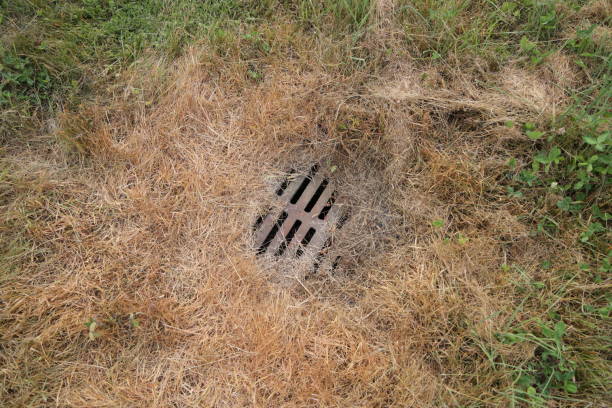 istock Metal Grate During a Heat Wave in Canada 1412751049