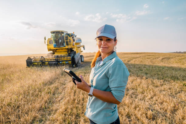 rolniczka trzyma cyfrowy tablet na polu rolnym. inteligentne rolnictwo - wheat cereal plant agriculture green zdjęcia i obrazy z banku zdjęć