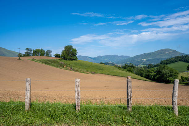 Fence on Hill in Pyrenees Mountains