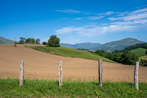 View of the landscape near Trautenfels Castle near Liezen in Styria. Nature in the Salzkammergut in Austria.