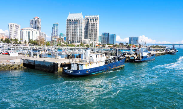 A view of the San Diego skyline from the San Diego Bay in San Diego, California. September 13. 2019