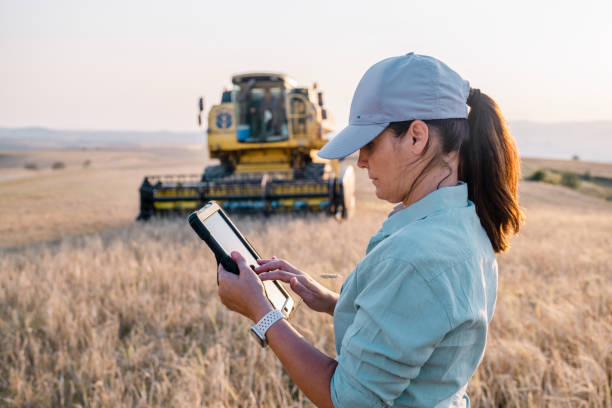 una contadina tiene in mano una tavoletta digitale in un campo agricolo. agricoltura intelligente - agricultural activity foto e immagini stock