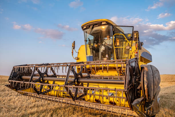 istock female farmer driving combine harvester machine 1412752000