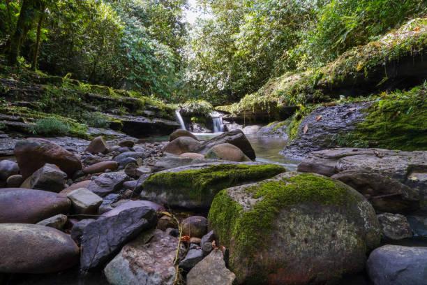 istock Beautiful waterfalls in a peaceful landscape 1412752148
