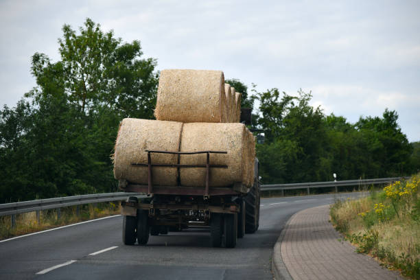 unsecured transport of straw bales Gefahr für Autofahrer durch herab rollende Strohballen hay baler stock pictures, royalty-free photos & images