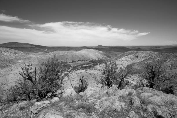 Desert landscape, with small, dry water tank in a tree area, Tunoco Mountain in the background