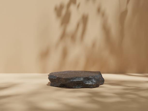 istock Abstract geometric composition with branch and shadow on the wall, Natural stone step pedestal wiyh terrazzo texture. 3D render. Mock up for exhibitions. 1412768921