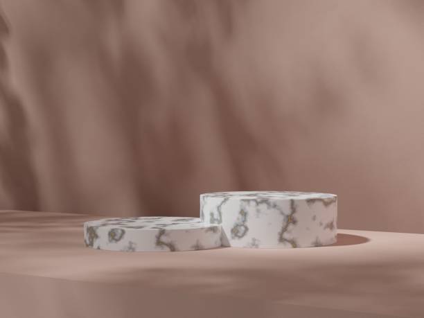 istock Abstract geometric composition with branch and shadow on the wall, Natural stone step pedestal wiyh terrazzo texture. 3D render. Mock up for exhibitions. 1412768936