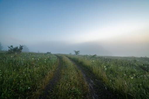 foggy summer morning landscape with dirt road and short visibility.