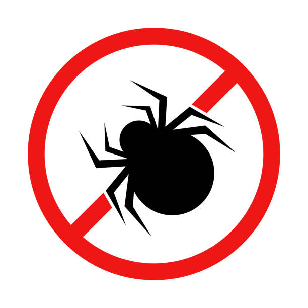 вектор без знака паука на белом фоне - silhouette spider tarantula backgrounds stock illustrations