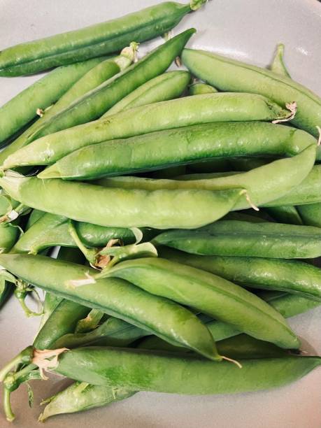istock Vegetables grown in an allotment garden 1412775182