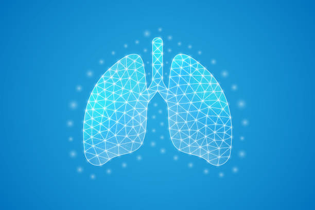 istock Lungs low poly symbol with white connected dots. 3d geometric polygonal Organ anatomy. Respiratory system, transplantation design vector illustration. 1412777690
