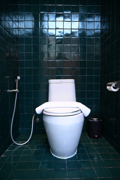 istock white flush toilet on dark green wall, interior design 1412783181