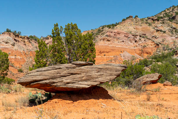 Red sandstone, shale and siltstone, petrified wood and caprocks form brilliant, layered monuments in the massive canyon. Hoodoos speckle the mountainsides, along with juniper and cedar, caves and arroyos.