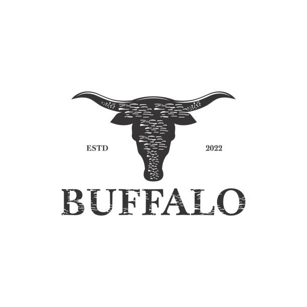 illustrazioni stock, clip art, cartoni animati e icone di tendenza di vintage silhouette buffalo head logo texas longhorn country western bull cattle vintage label logo design - texas longhorn cattle horned cattle farm