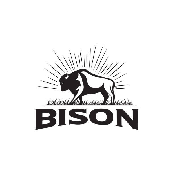 bison-icon-silhouette. büffelsymbol mit sonnenstrahlen isoliert auf weißem hintergrund. - amerikanischer bison stock-grafiken, -clipart, -cartoons und -symbole