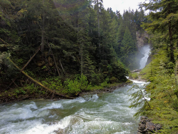 istock Bear Creek Falls in the Glacier National Park, Canada 1412792822