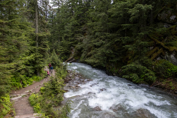 istock Family hiking along a trail through the lush forest 1412792908