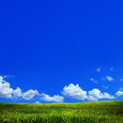 Empty green field and clear blue sky.