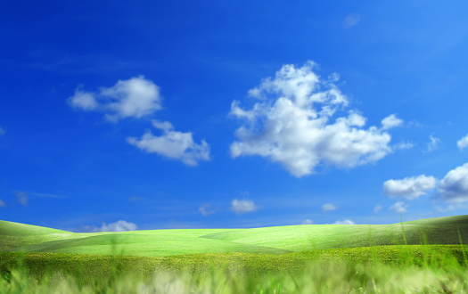 Empty green field and clear blue sky.
