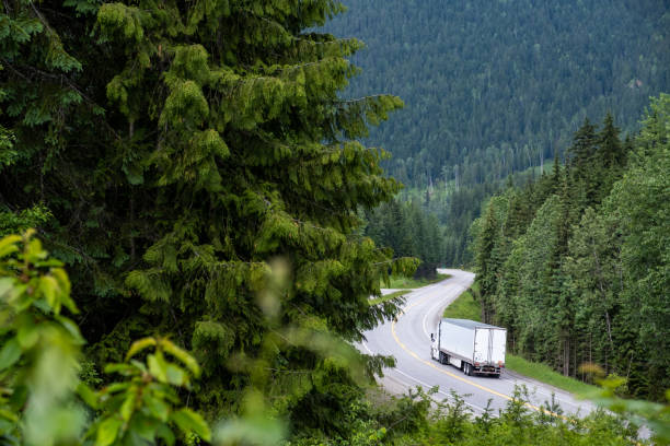 camion porte-conteneurs le long d’une route panoramique à travers les rocheuses canadiennes - industry truck semi truck trucking photos et images de collection