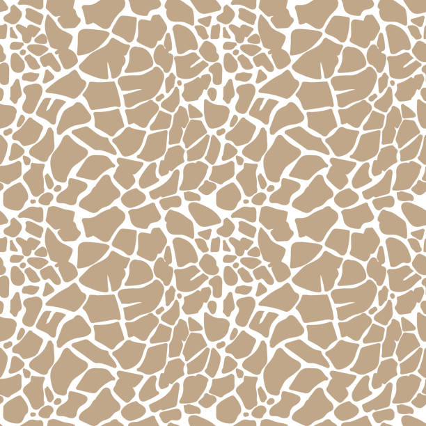 ilustrações de stock, clip art, desenhos animados e ícones de giraffe seamless pattern. animal skin texture. safari background with spots. vector cute illustration. - giraffe pattern africa animal