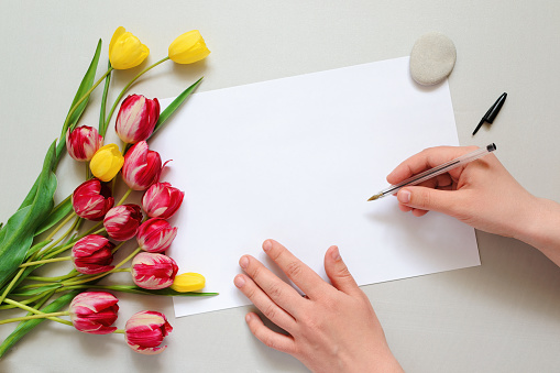 Indoors, top view on a flat lay on a gray table on which a woman's hands write a note on a white empty sheet of paper that holds a stone in the upper right corner from shifting, a bouquet of yellow and red tulips without packaging lies nearby, space for text.