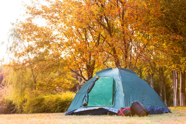 Outdoor camping tent and sleeping bag on a colorful jungle meadow in autumn, still life - stock photo stock photo